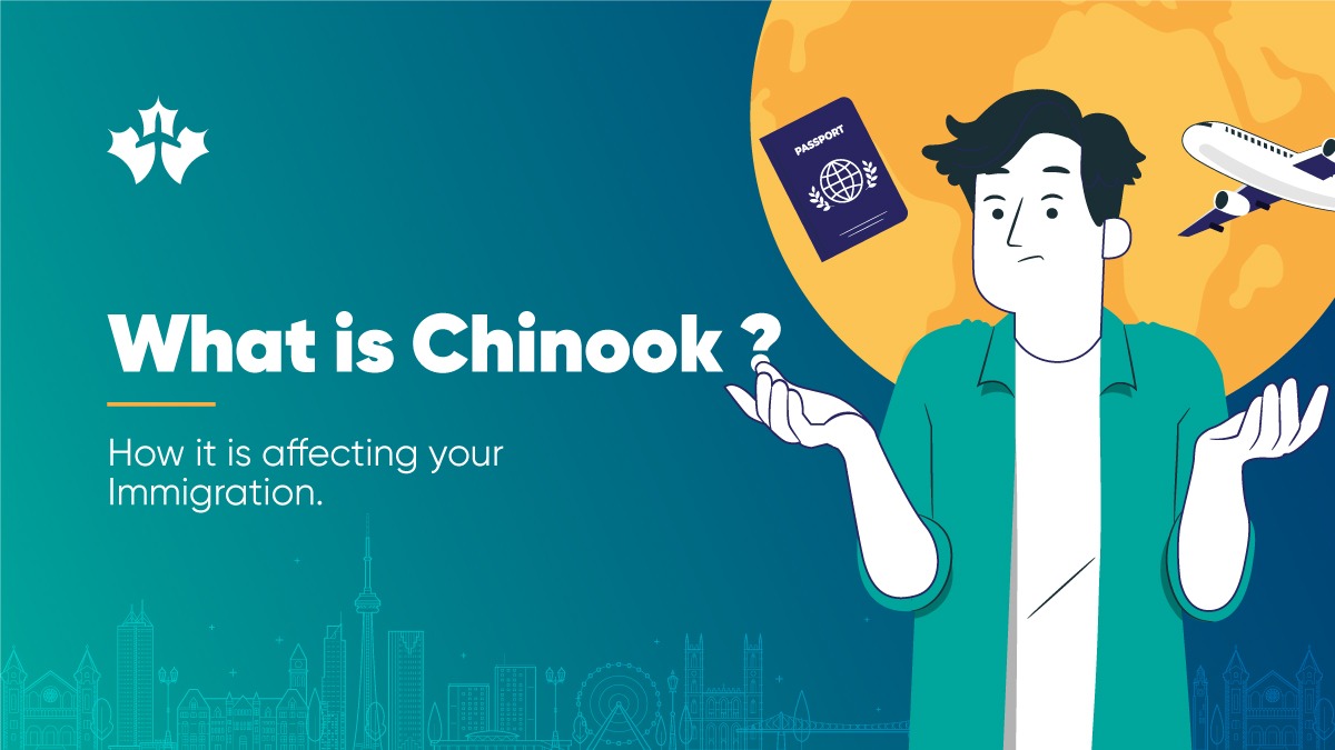 Chinook for canada immigration